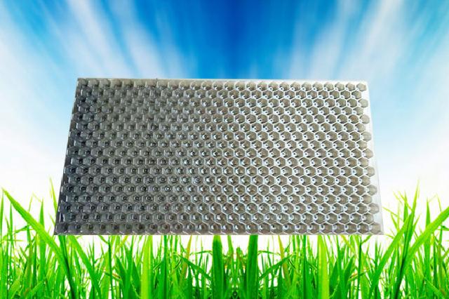 水稻拋秧育秧盘