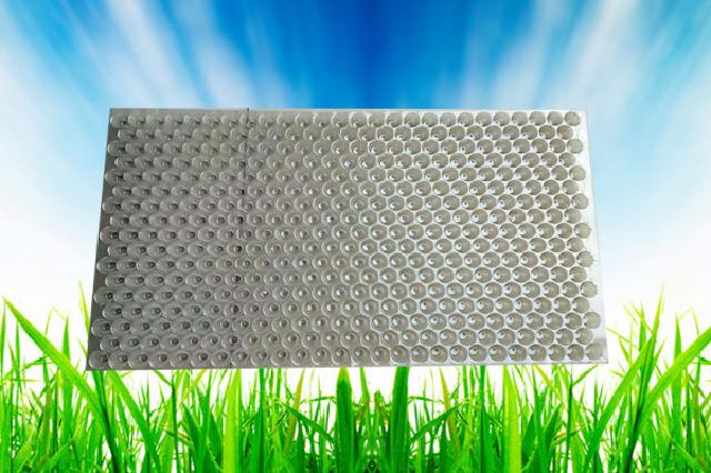 水稻拋秧育秧盘