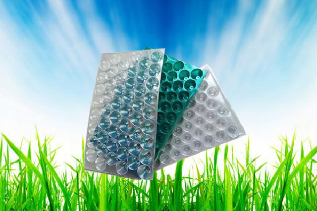 各种规格肓苗盘